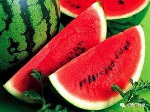 大西瓜ponn在线视频,揭秘网络红人的魅力与影响力