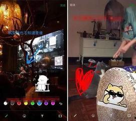 全网涂鸦在线视频,创意无限的艺术盛宴