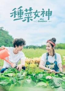 种菜女神高清在线视频,高清视频中的绿色田园生活