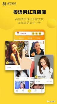 a全网免费看在线视频,a全网免费看在线视频，尽享海量影视资源