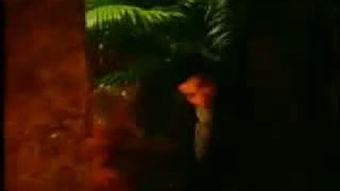 黑夜在线视频 hyzxsp,hyzxsp在线视频揭秘