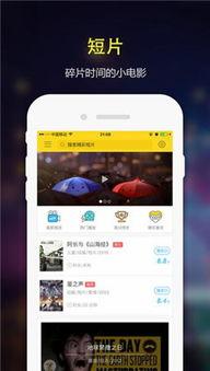 福利a 导航在线视频,在线视频资源一站式获取指南